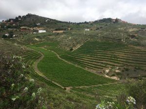 fullsizeoutput_6e2-300x225