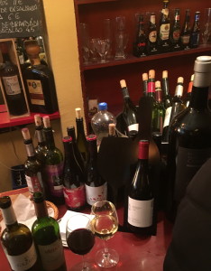 IMG_3301-e1457598484798-234x300